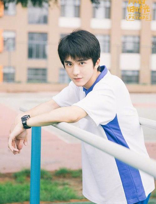 娱乐圈吃瓜爆料张新成,揭秘背后的真相与争议