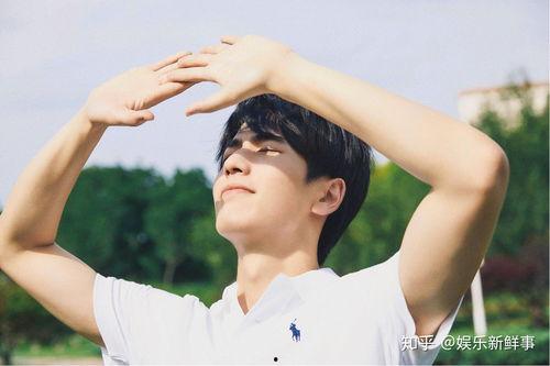 吃瓜娱乐圈张凌赫,娱乐圈的瓜田新秀,星光熠熠的蜕变之路